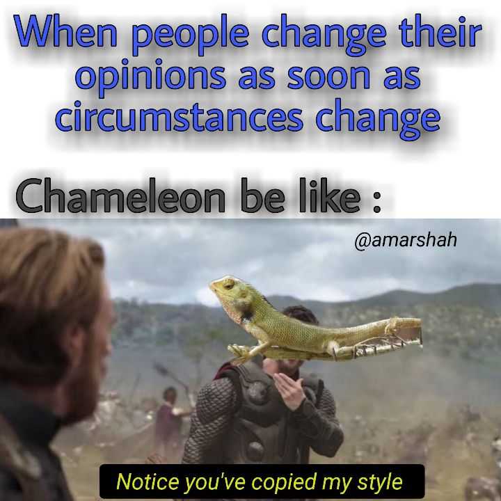 How to make money meme - Chameleon Memes