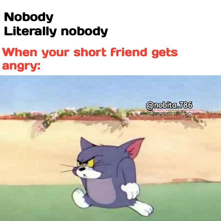 your short meme