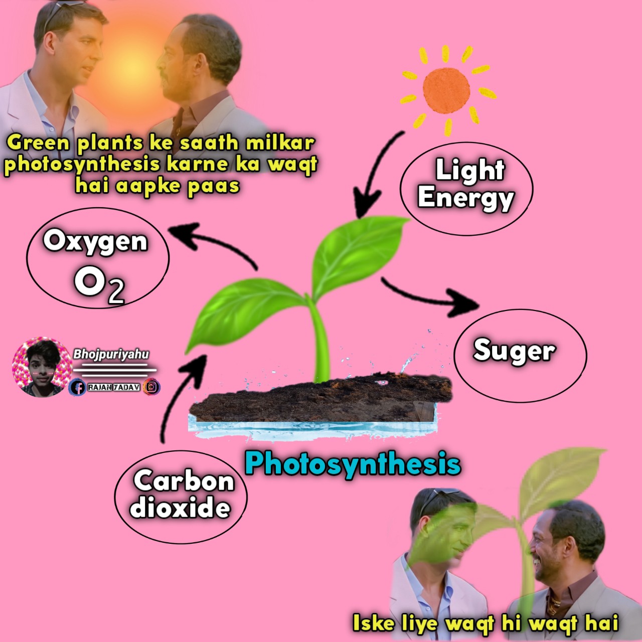 photosynthesis meme