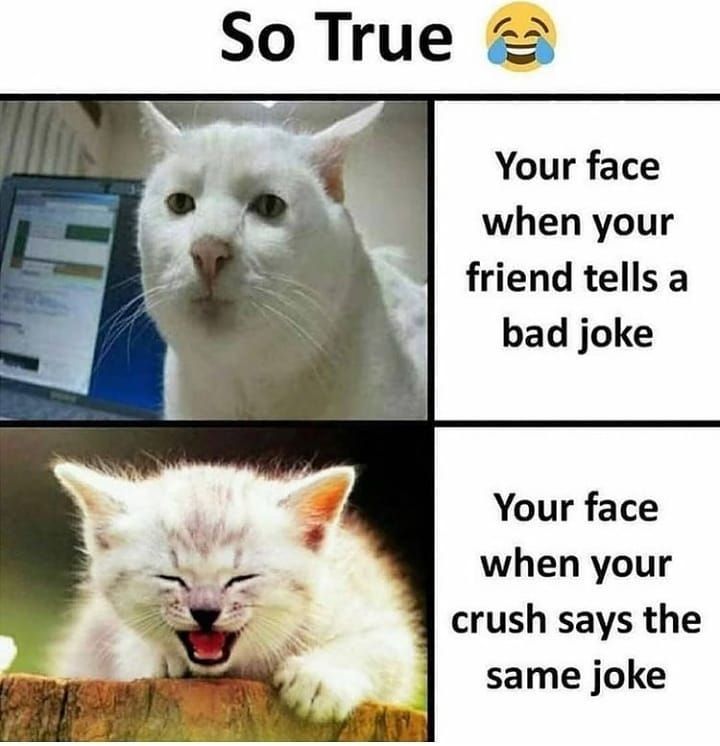 bad joke face