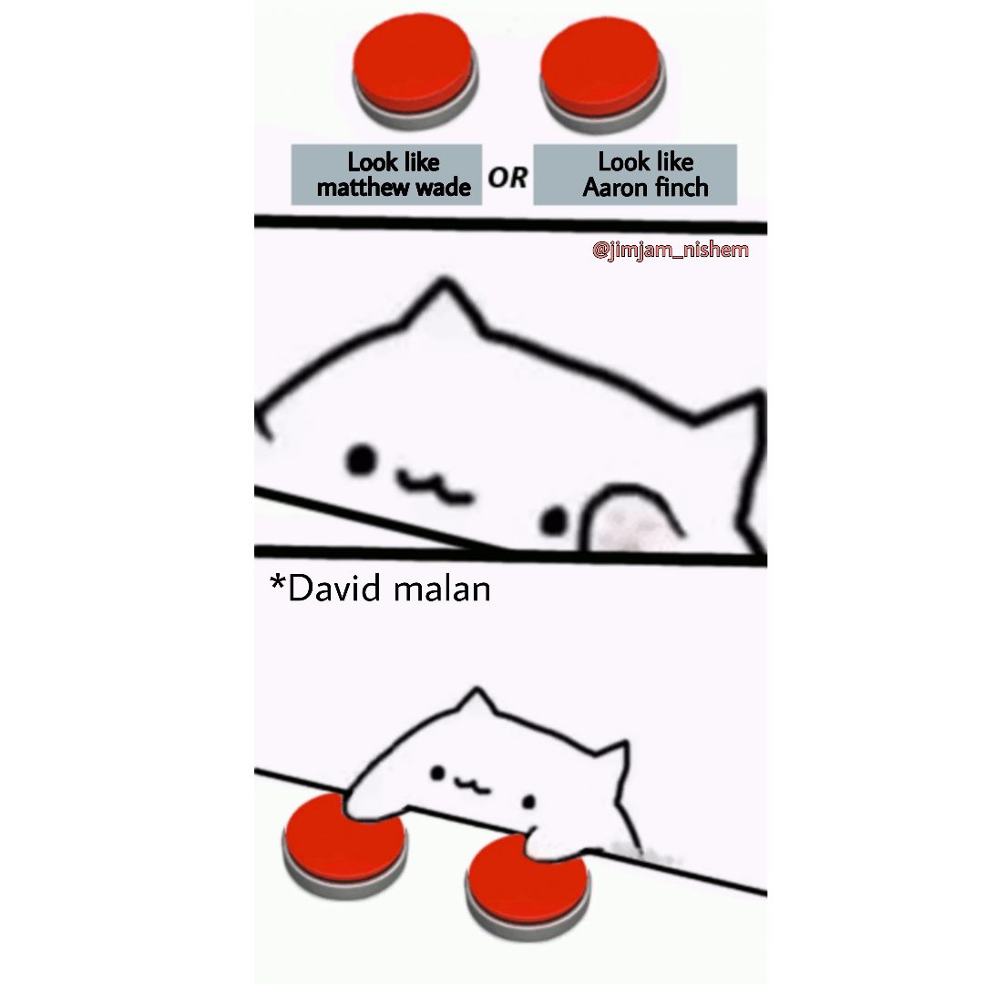 2 Buttons Meme