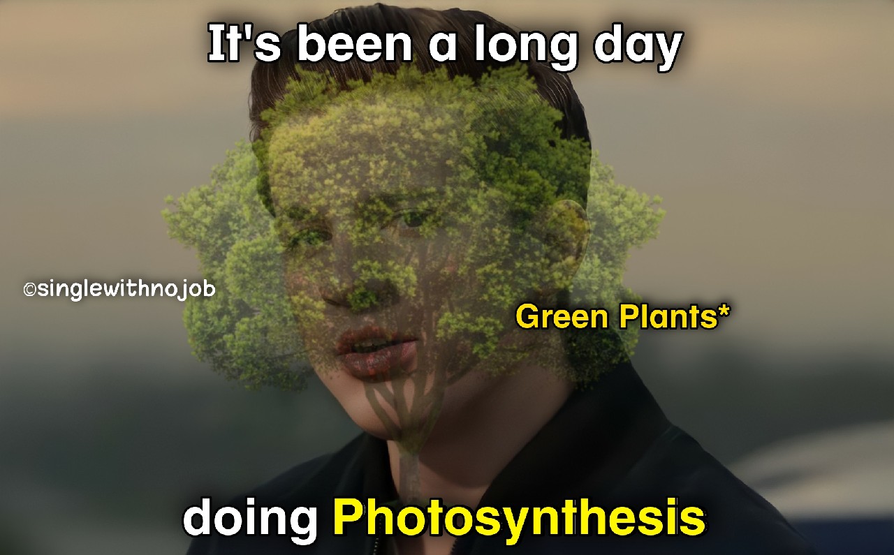 photosynthesis meme