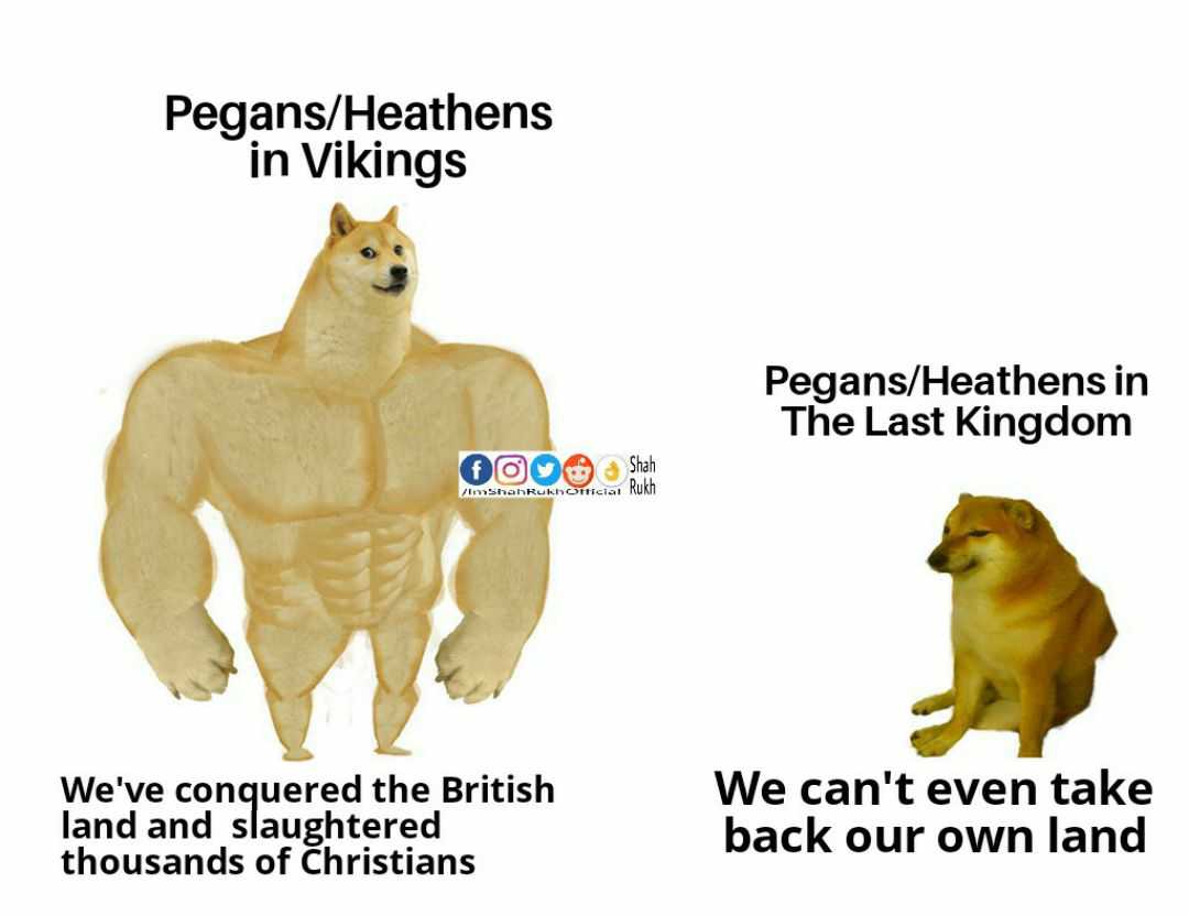 vikings fan memes