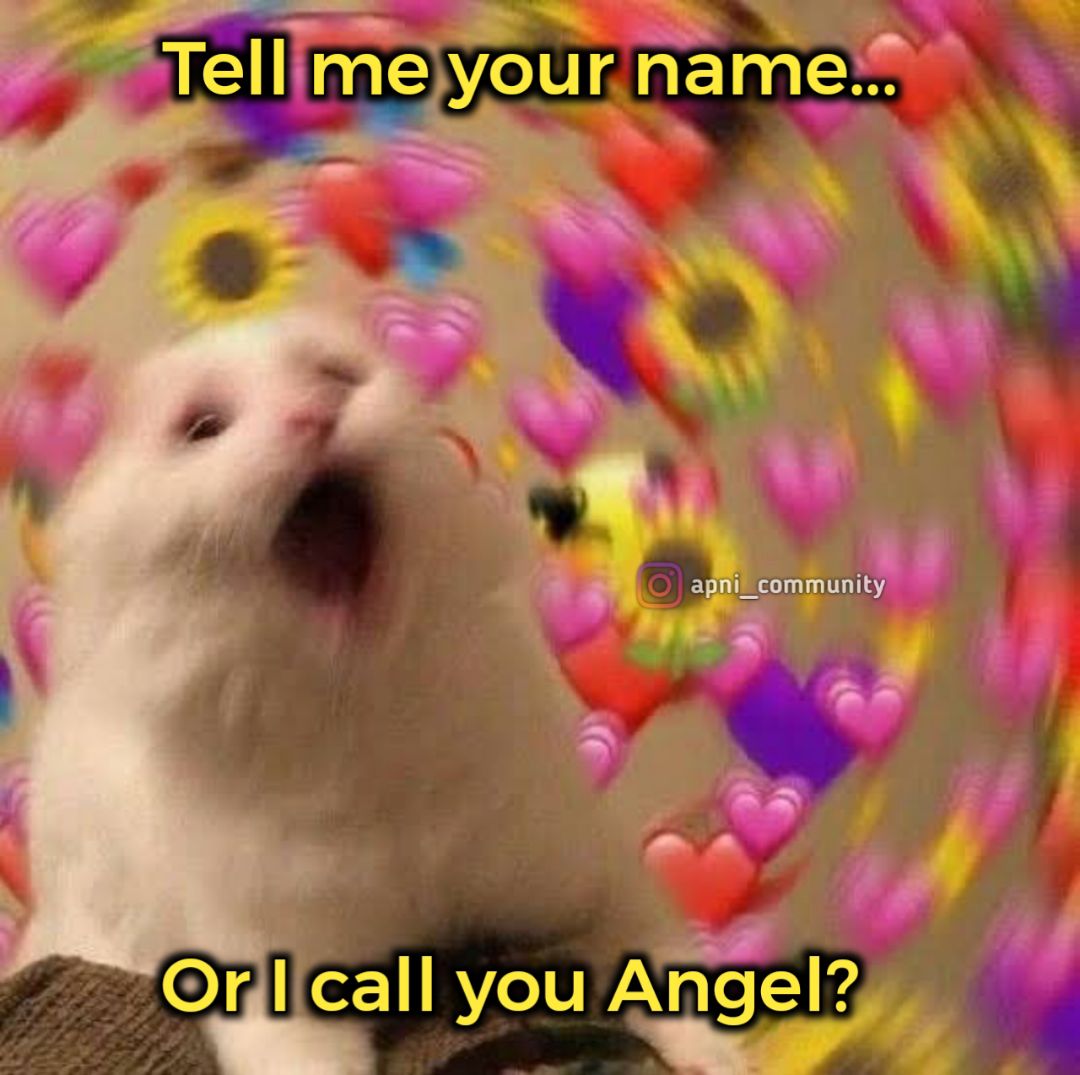 angel name memes