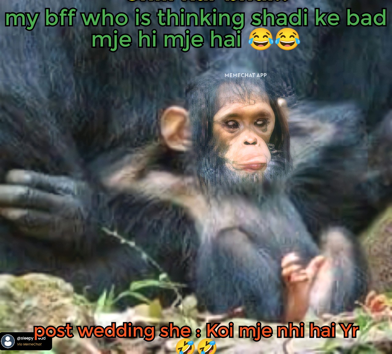 funny monkey pictures with quotes
