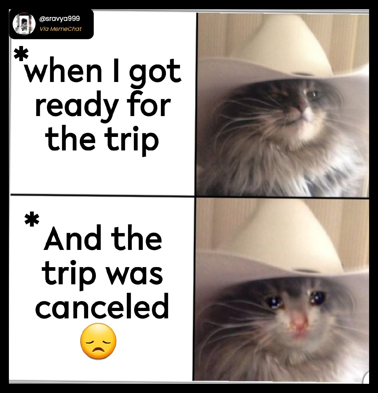 Tripping Cat Meme