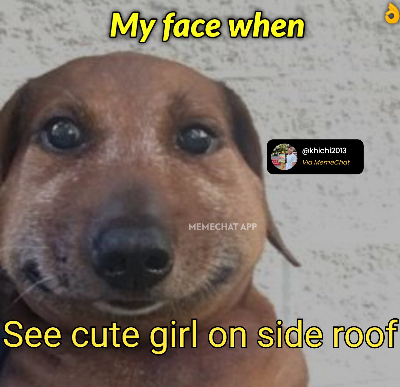 side chick meme dog